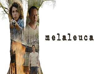 Melaleuca