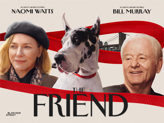 The Friend