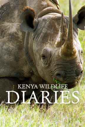 Ivory Wars