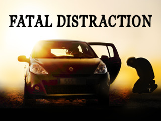 Fatal Distraction