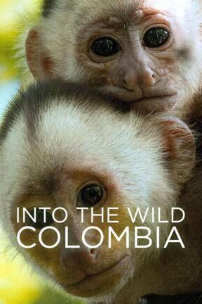 A Capuchin's Tale