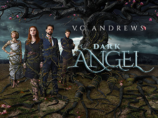 VC Andrews' Dark Angel
