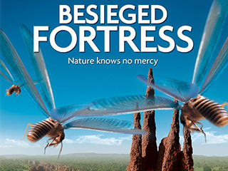 The Besieged Fortress