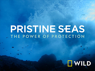 Pristine Seas: The Power of Protection