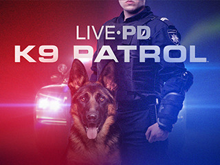 Police Patrol K9 S02 Ep05