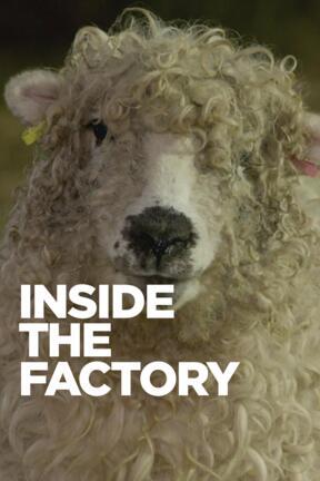 Inside the Factory S8:07