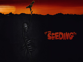 The Seeding-24