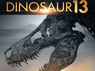 Dinosaur 13
