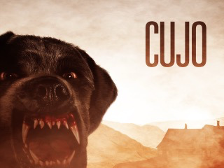 Cujo
