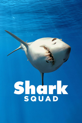 Chasing Mako