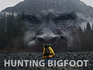 Hunting Bigfoot