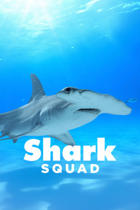 Bahamas Shark Lab