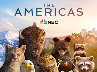 The America 0108