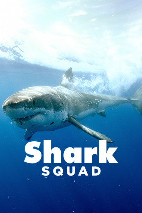 Guadalupe: Island of the White Sharks