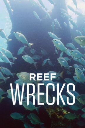 Florida Keys Shipwreck Trail