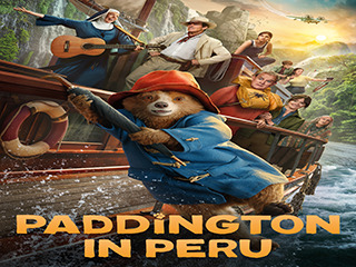 Paddington In Peru