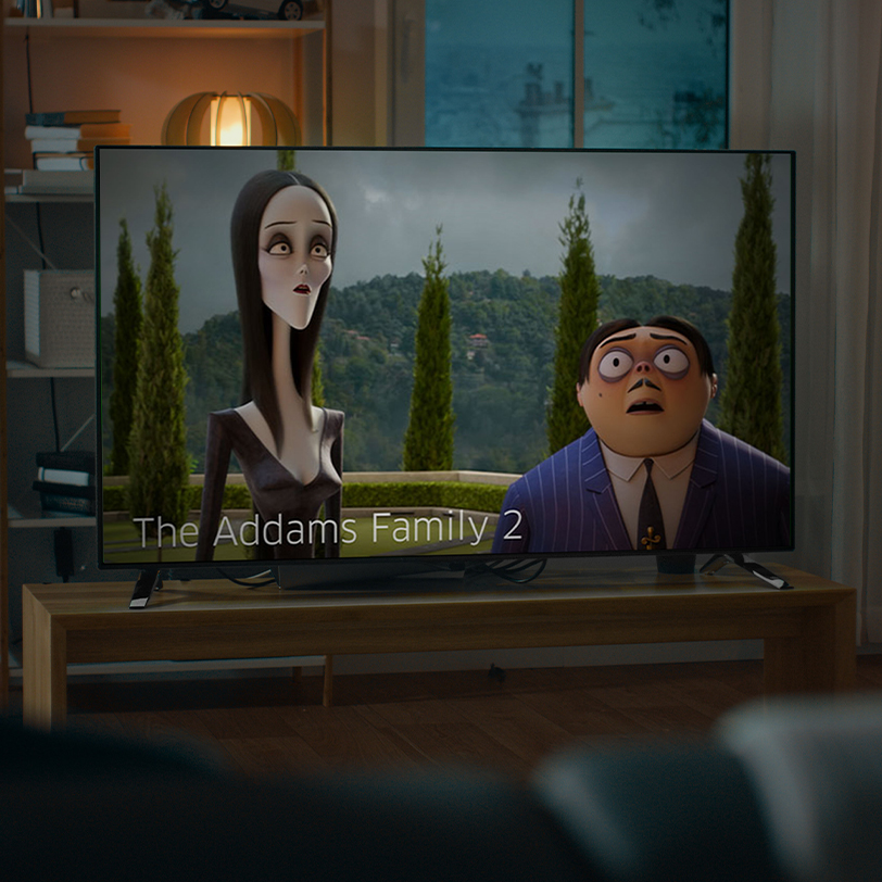 The Addams Family 2 on TV