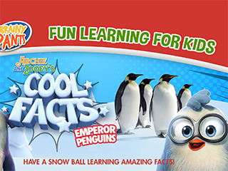 Archie And Zooey's/Emperor Penguins