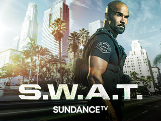 S.W.A.T 313