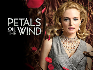 Petals on the Wind
