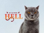 Cat From Hell S7:Jekyll and Hyde