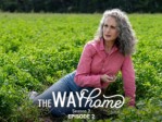 The Way Home S02E02