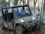 Braxton County Shadow Creature
