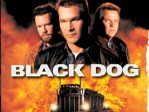 Black Dog