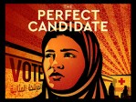 The Perfect Candidate