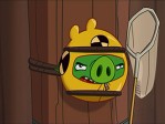 Crash Test Piggies