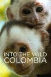 A Capuchin's Tale