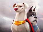 DC/Super-Pets