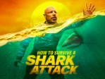 How to Survive a Shark Attack S1:Shark Attack