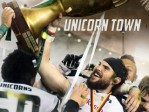 Unicorn Town