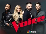 The Voice 2713