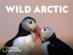 Wild Arctic