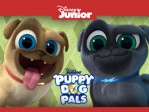 Hissy's Kitty / Polly Wants a Pug
