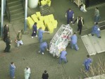 Pandemic Pandemonium