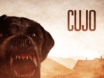 Cujo