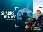 Sharks Up Close with Bertie Gregory