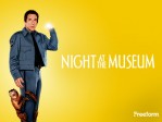 NIGHT AT THE MUSEUM
