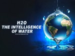 H2O The Intelligence Of Water