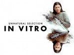 In Vitro