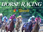 Turf Sprint