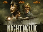 Night Walk