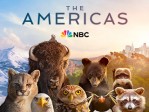 The America 0108