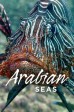 Carnivores of the Coral Garden
