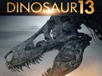 Dinosaur 13