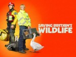 Saving Britain's Wildlife S1:Urban Jungle