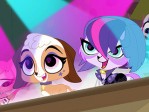 It's the Pet Fest! Part 2